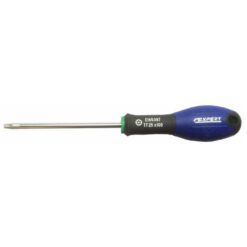 Bost Skruvmejsel Torx m hål TT 10